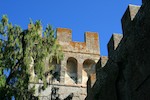 Castello Di Oliveto